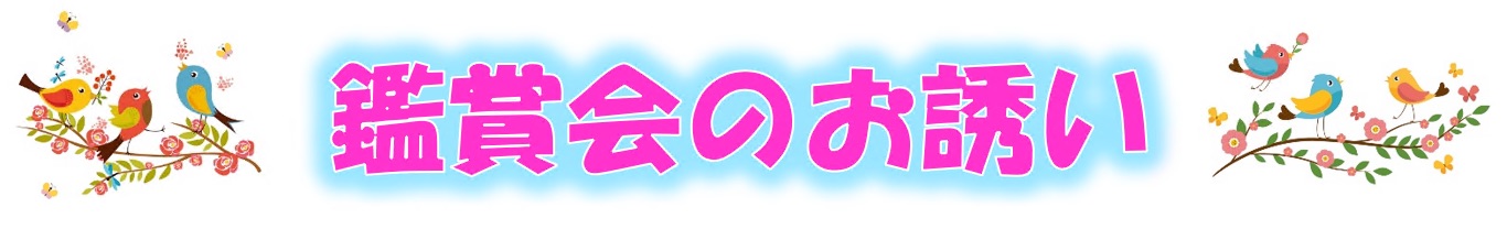 鑑賞会のお誘い